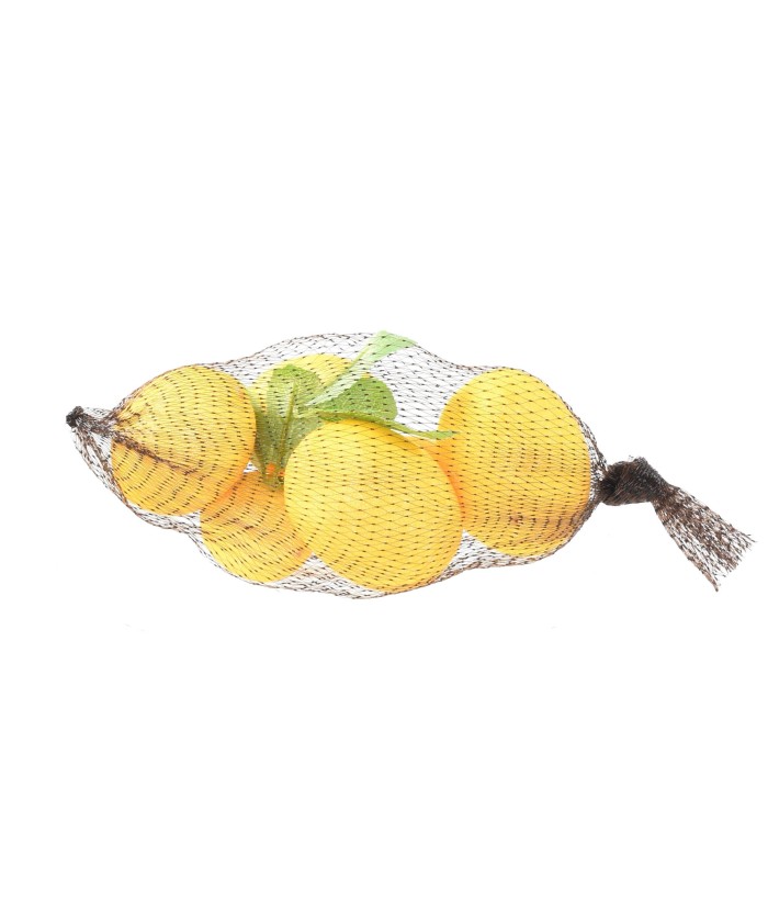 Artificial LEMONS, net of 6