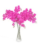 Artificial PHALAENOPSIS ORCHID STEM