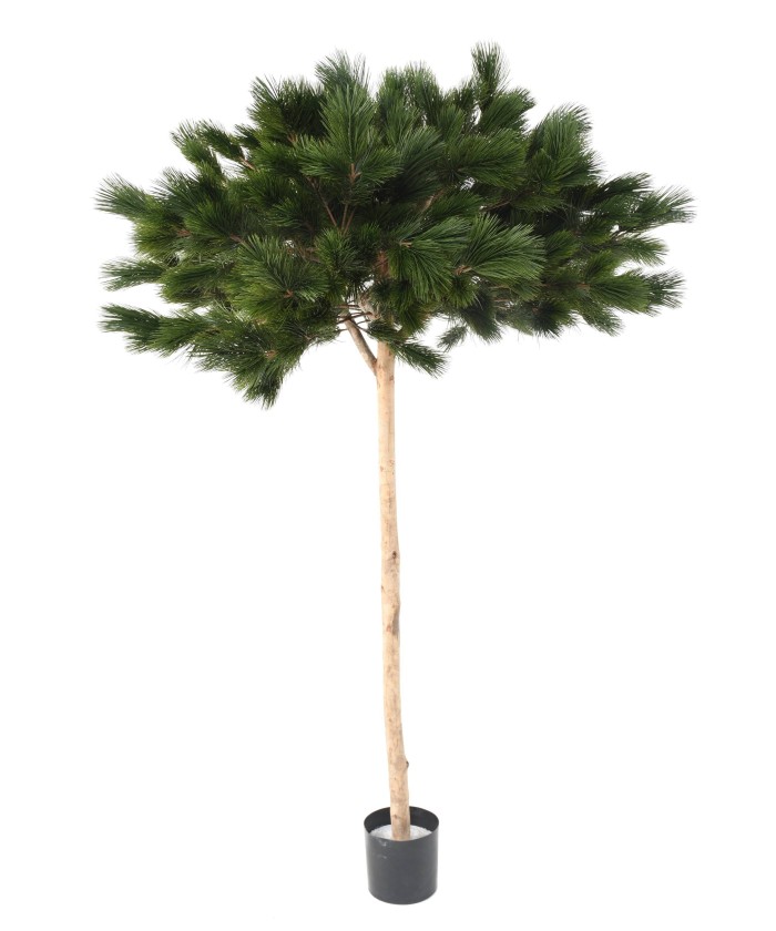Artificial UMBRELLA PINE