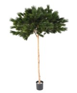 Artificial UMBRELLA PINE