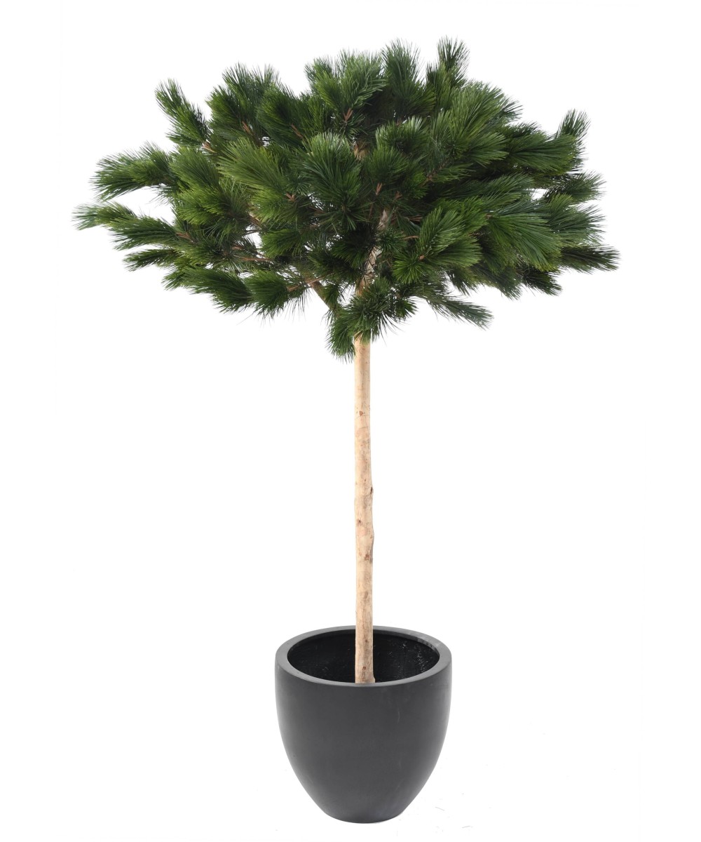 Artificial UMBRELLA PINE