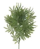 Artificial TAMARIND SPRAY (mimosa)