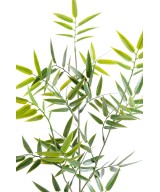 Artificial JAPANESE BAMBOO PLAST SPRAY UV