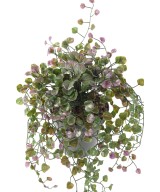 Artificial DICHONDRA HANGING BUSH