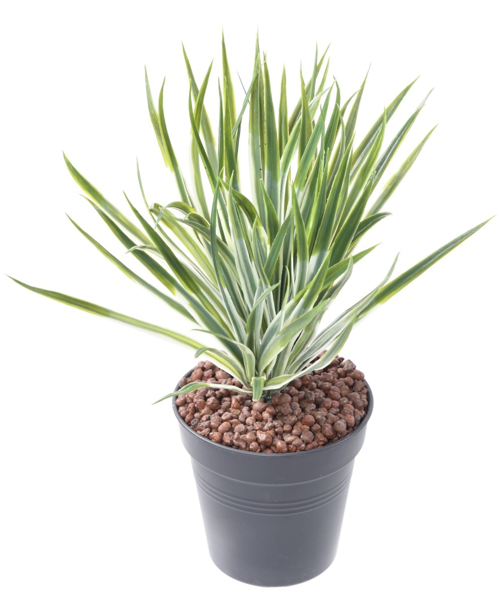 Artificial YUCCA GOLDEN SWORD