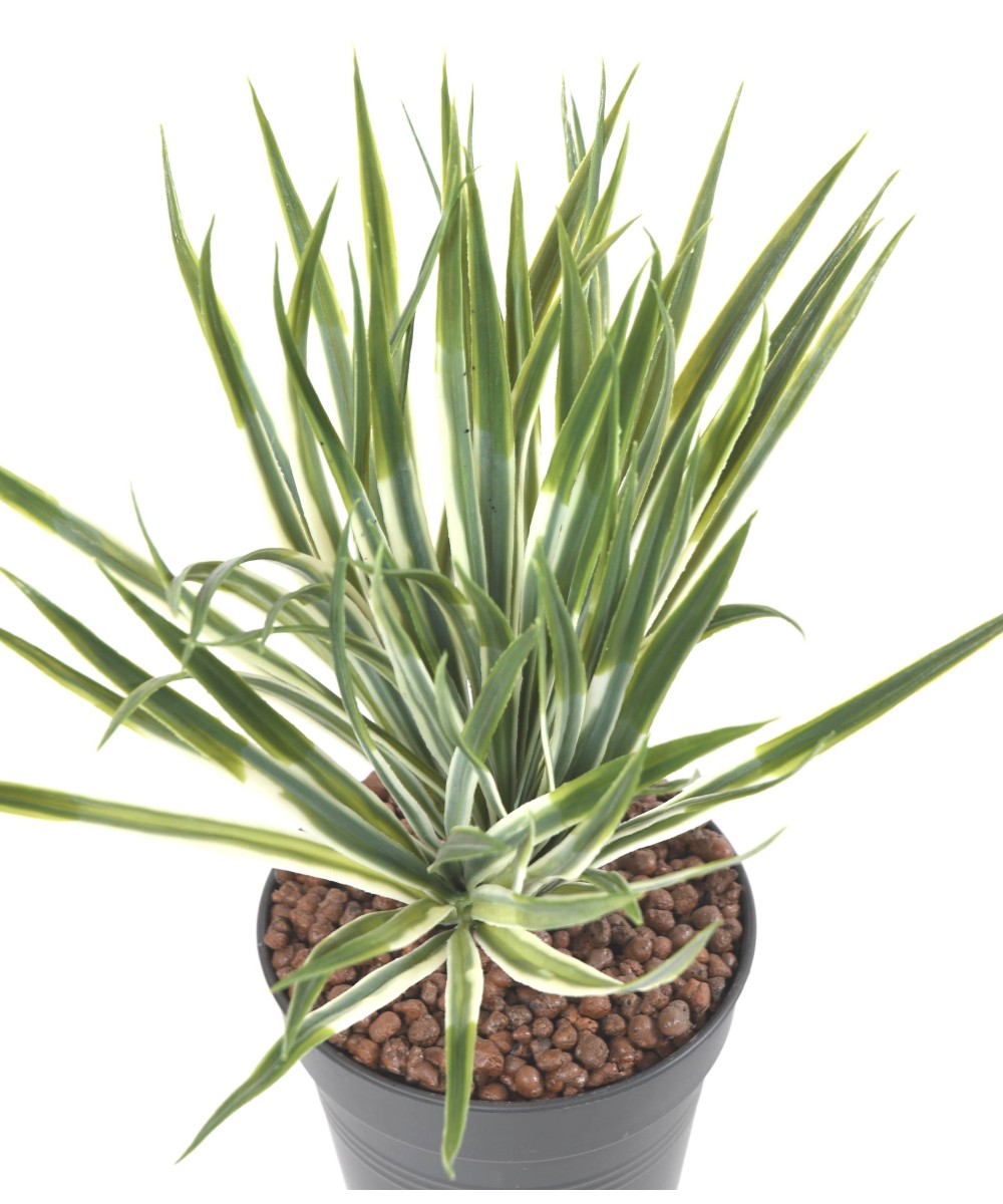 Artificial YUCCA GOLDEN SWORD
