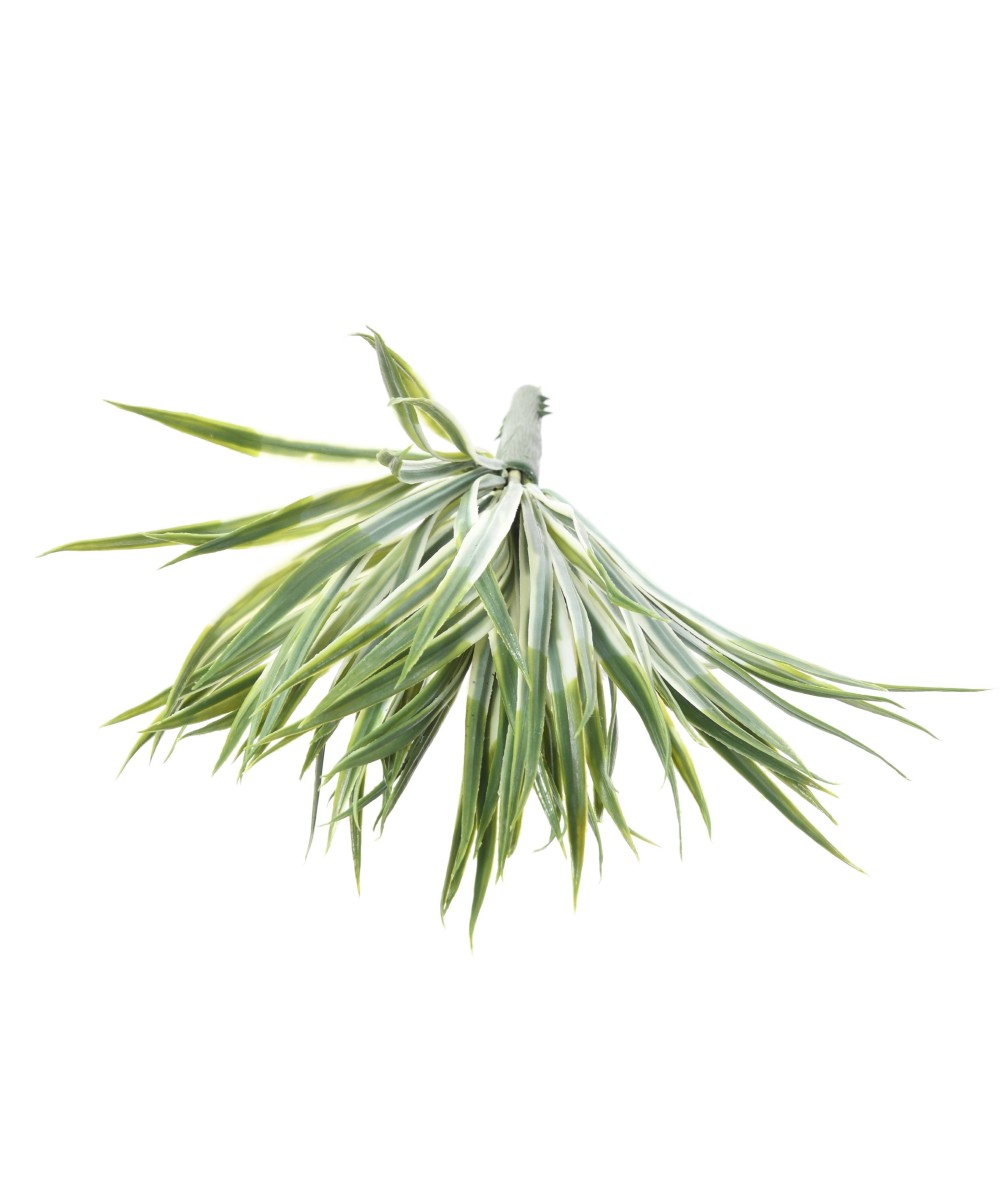 Artificial YUCCA GOLDEN SWORD