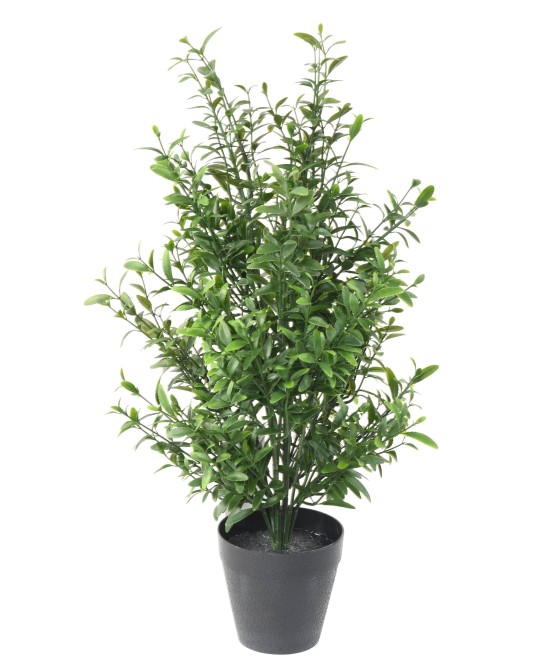 Artificial SAGE UV
