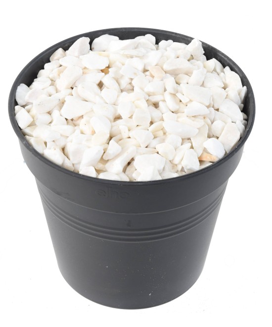White pebble top dressing