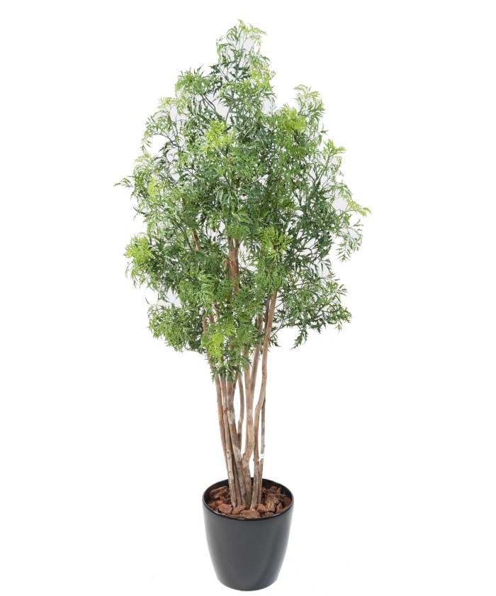 Artificial Aralia Ming Nitida in Round Pot