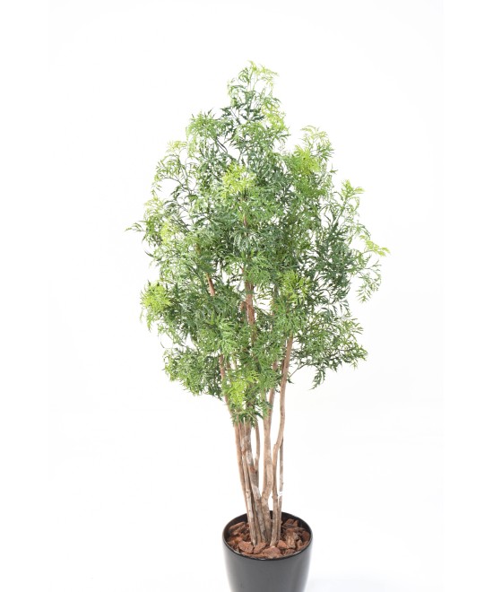 Kunstlik araalia Ming Nitida ümmarguses potis