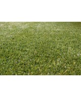 Artificial TURF CHAMBON NEW 38 mm