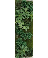 Artificial GREEN WALL C3