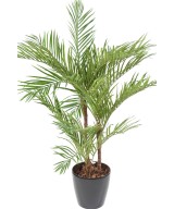 Kunstarekapalm palm *3 ümaras potis