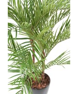 Kunstarekapalm palm *3 ümaras potis