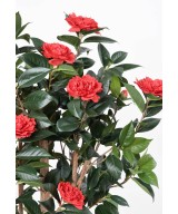 Kunstlik CAMELLIA JAPONICA DOUBLE UUS