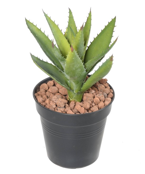 Kunstlik ALOEVERA 12