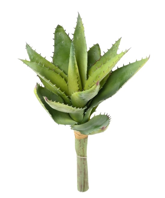 Kunstlik ALOEVERA 12