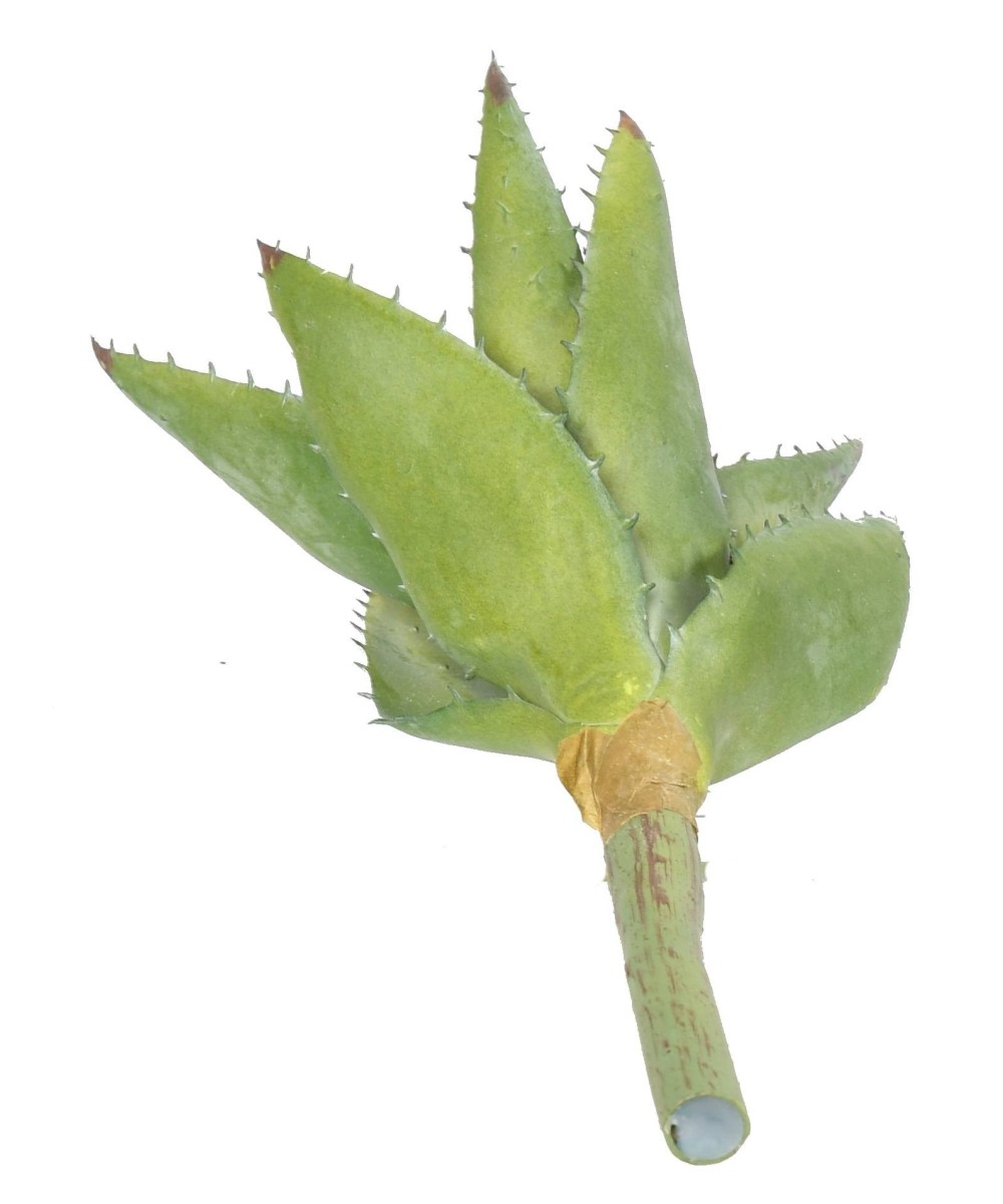 Kunstlik ALOEVERA 12