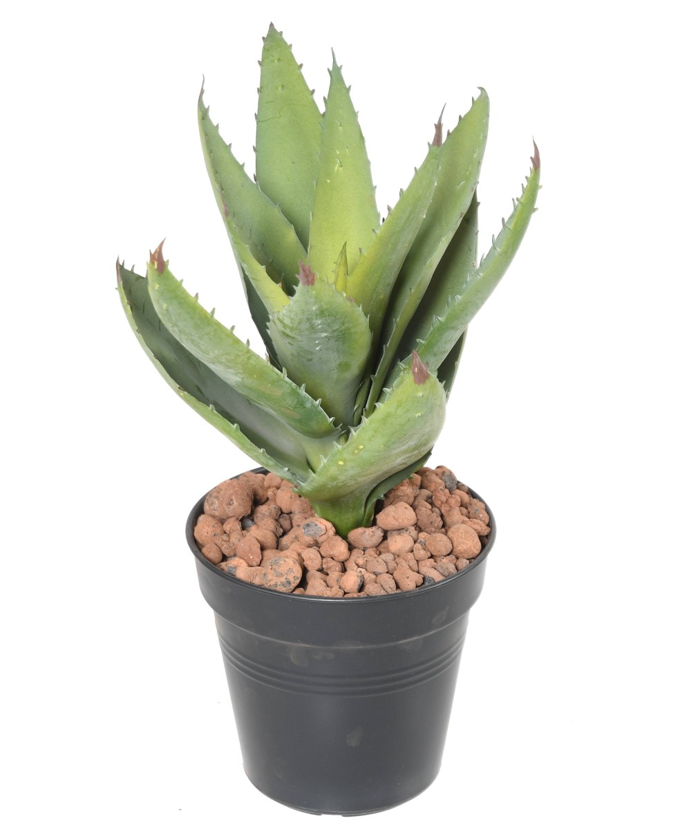 Artificial ALOEVERA 12