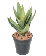 Artificial ALOEVERA 12