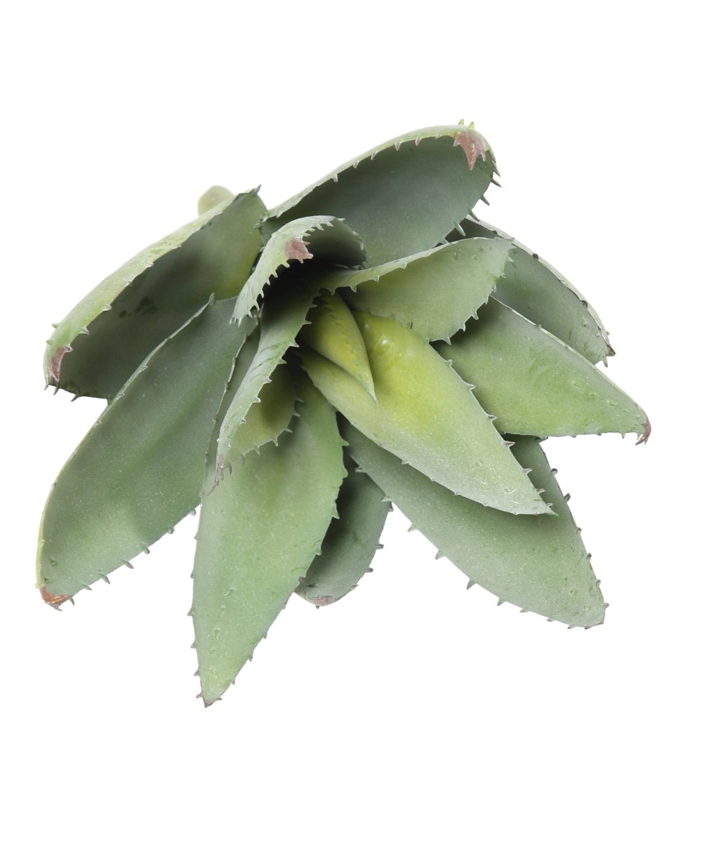 Artificial ALOEVERA 12