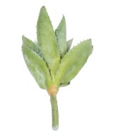 Artificial ALOEVERA 12