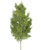 Kunstlik KÜPRESSI (juniperus vj) dekoratiivoks