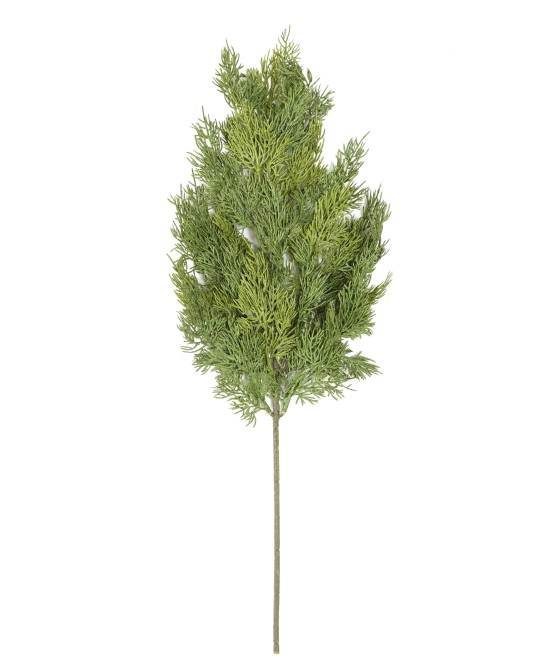 Kunstlik KÜPRESSI (juniperus vj) dekoratiivoks