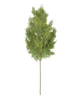 Kunstlik KÜPRESSI (juniperus vj) dekoratiivoks