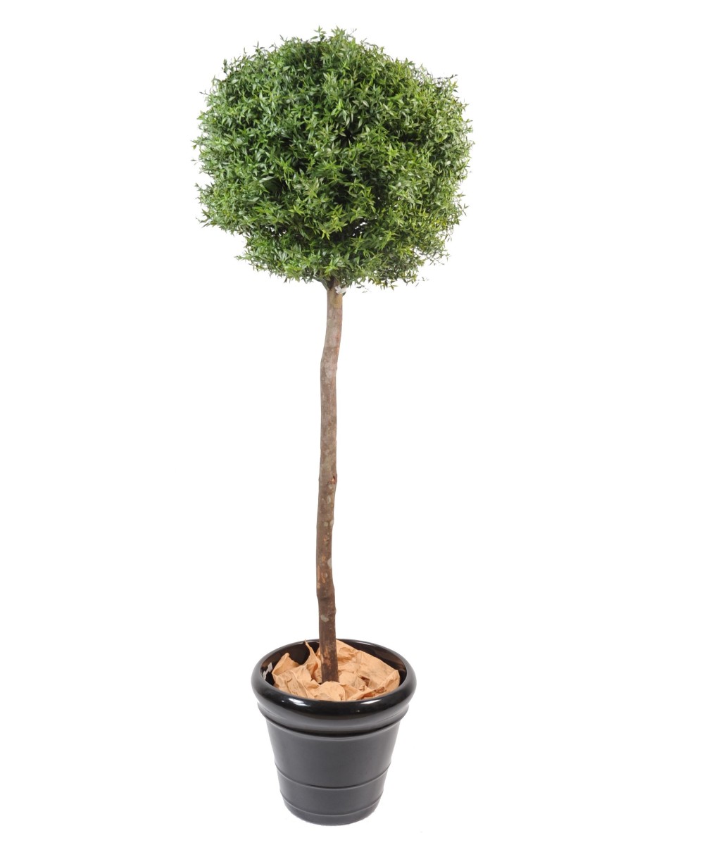 Artificial EUCALYPTUS BALL STEM