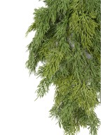 Kunstlik KÜPRESSI (juniperus vj) dekoratiivoks