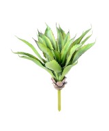 Artificial ALOE 35