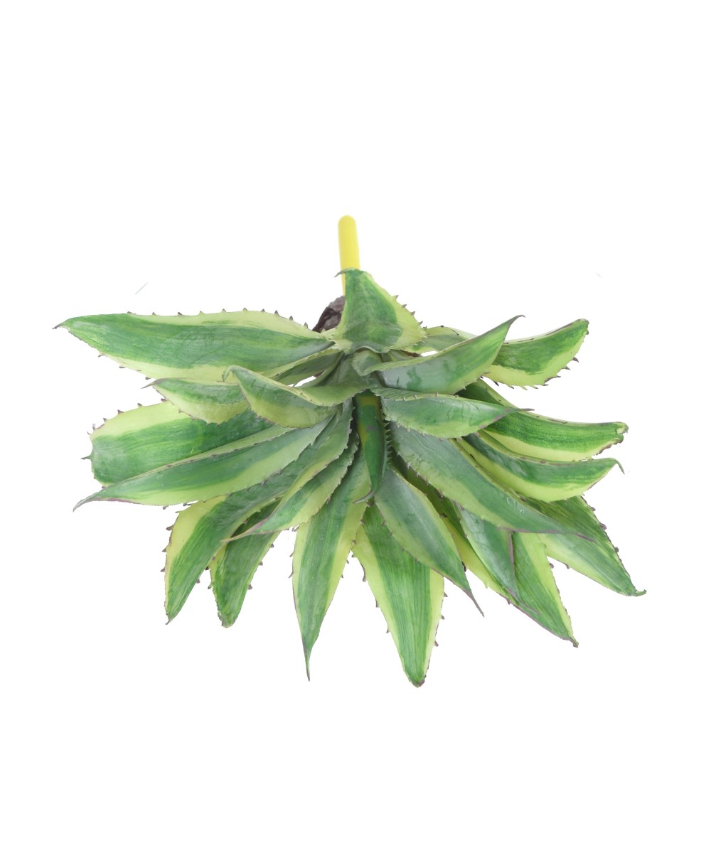 Artificial ALOE 35