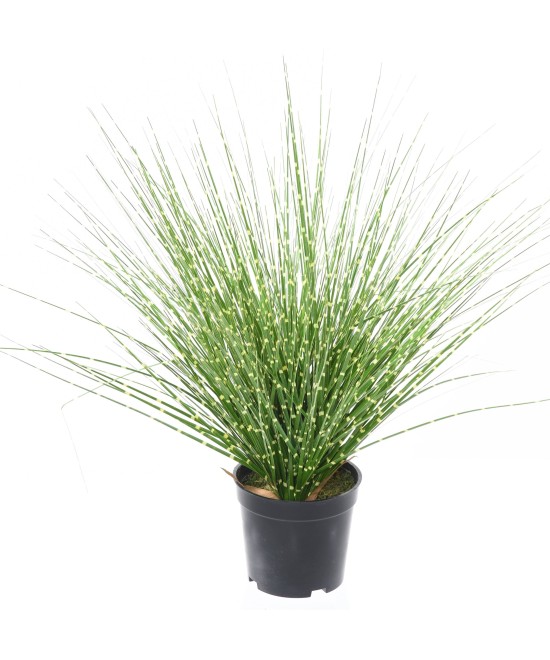 Kunstlik MISCANTHUS SINENSIS ZEBRINUS
