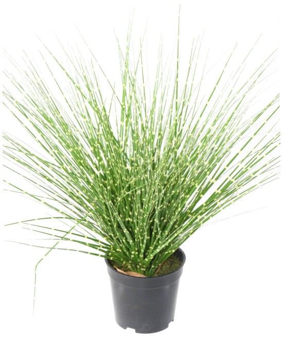 Artificial MISCANTHUS SINENSIS ZEBRINUS
