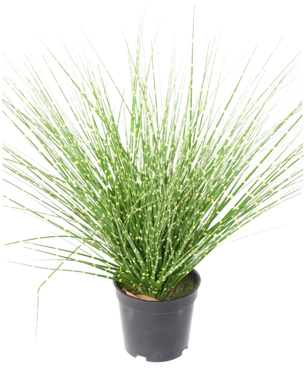 Artificial MISCANTHUS SINENSIS ZEBRINUS
