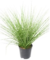 Artificial MISCANTHUS SINENSIS ZEBRINUS