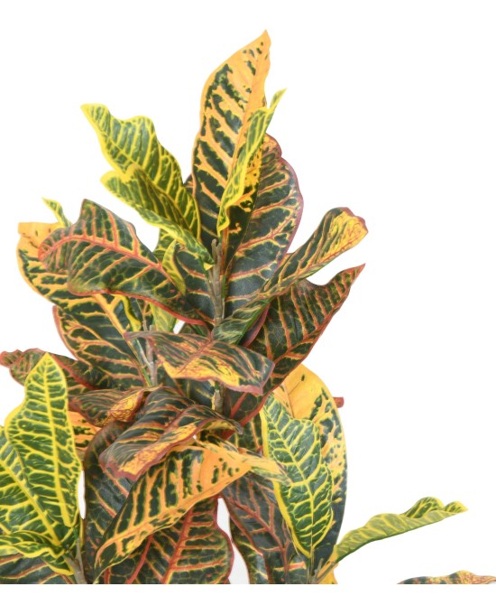 Kunstlik CROTON 100