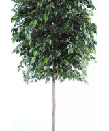 Kunstficus Natasja puu