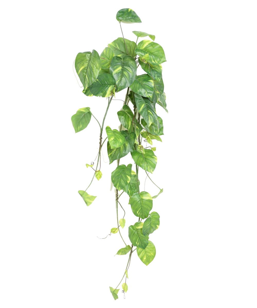 Kunstlik suur ripppõõsas (Pothos)