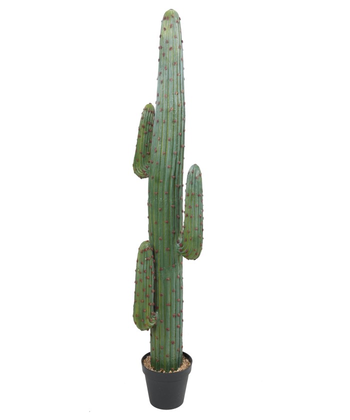 Artificial MEXICO CACTUS GR