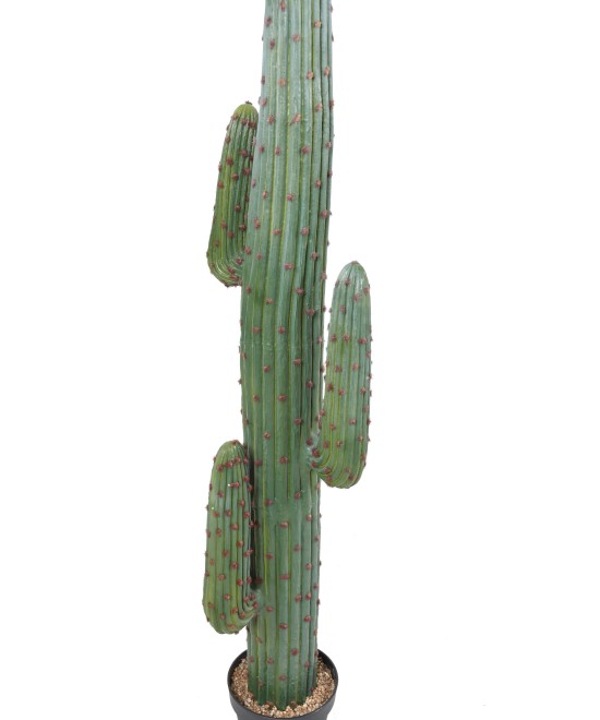 Artificial MEXICO CACTUS GR