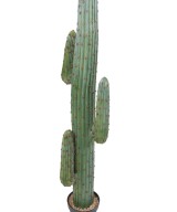 Artificial MEXICO CACTUS GR