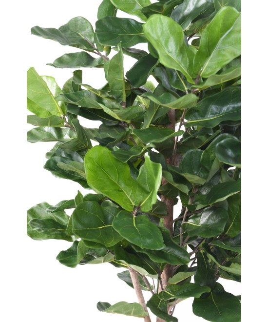 Artificial LYRATA ROYAL