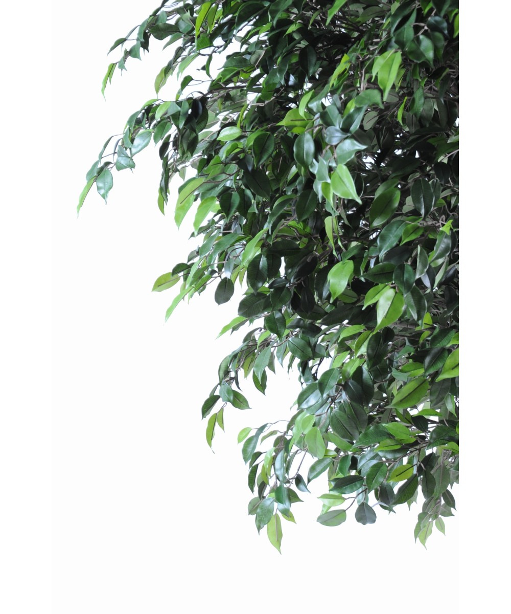Kunstficus Natasja puu