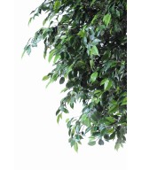 Kunstficus Natasja puu