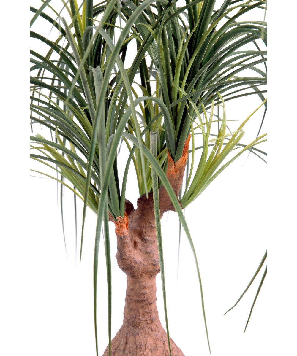 Kunst-beaucarnea