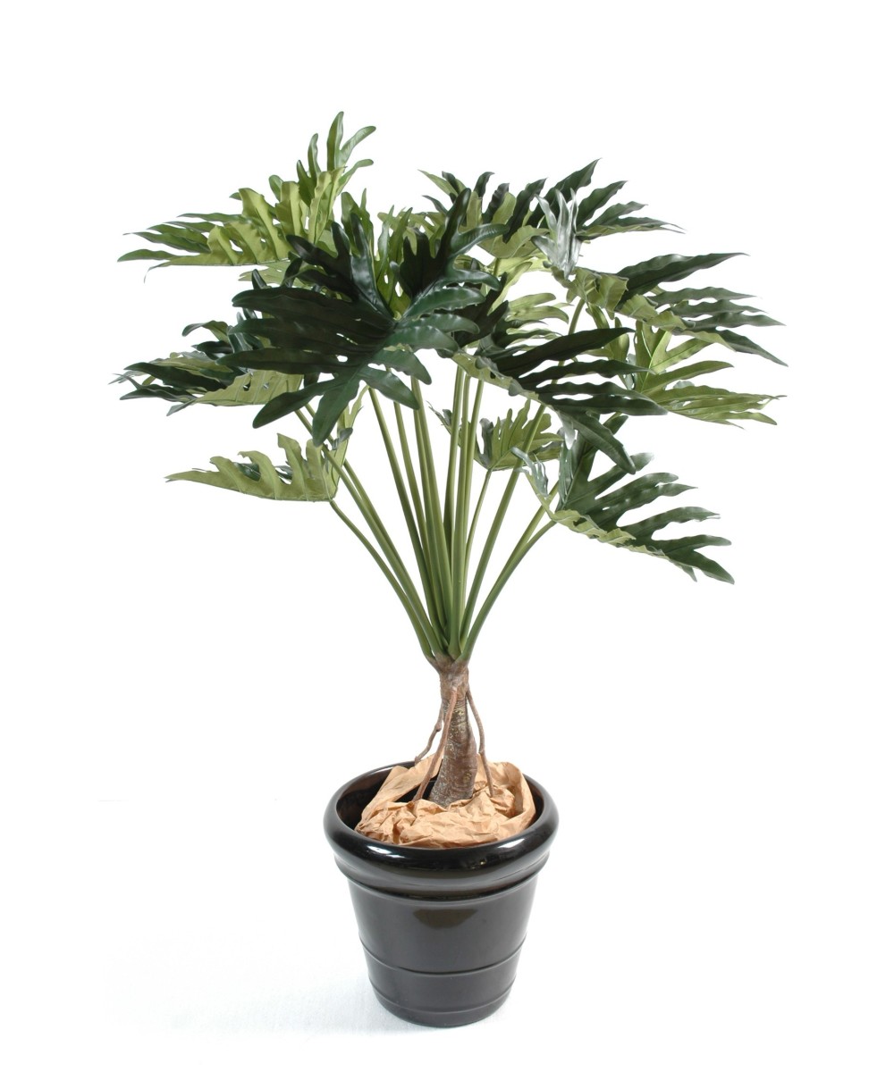 Kunstfilodendron Selloum, 15 lehte