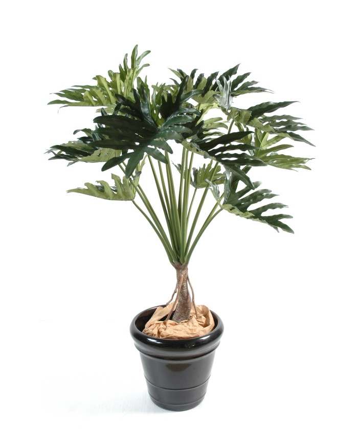 Artificial Philodendron SELLOUM *15